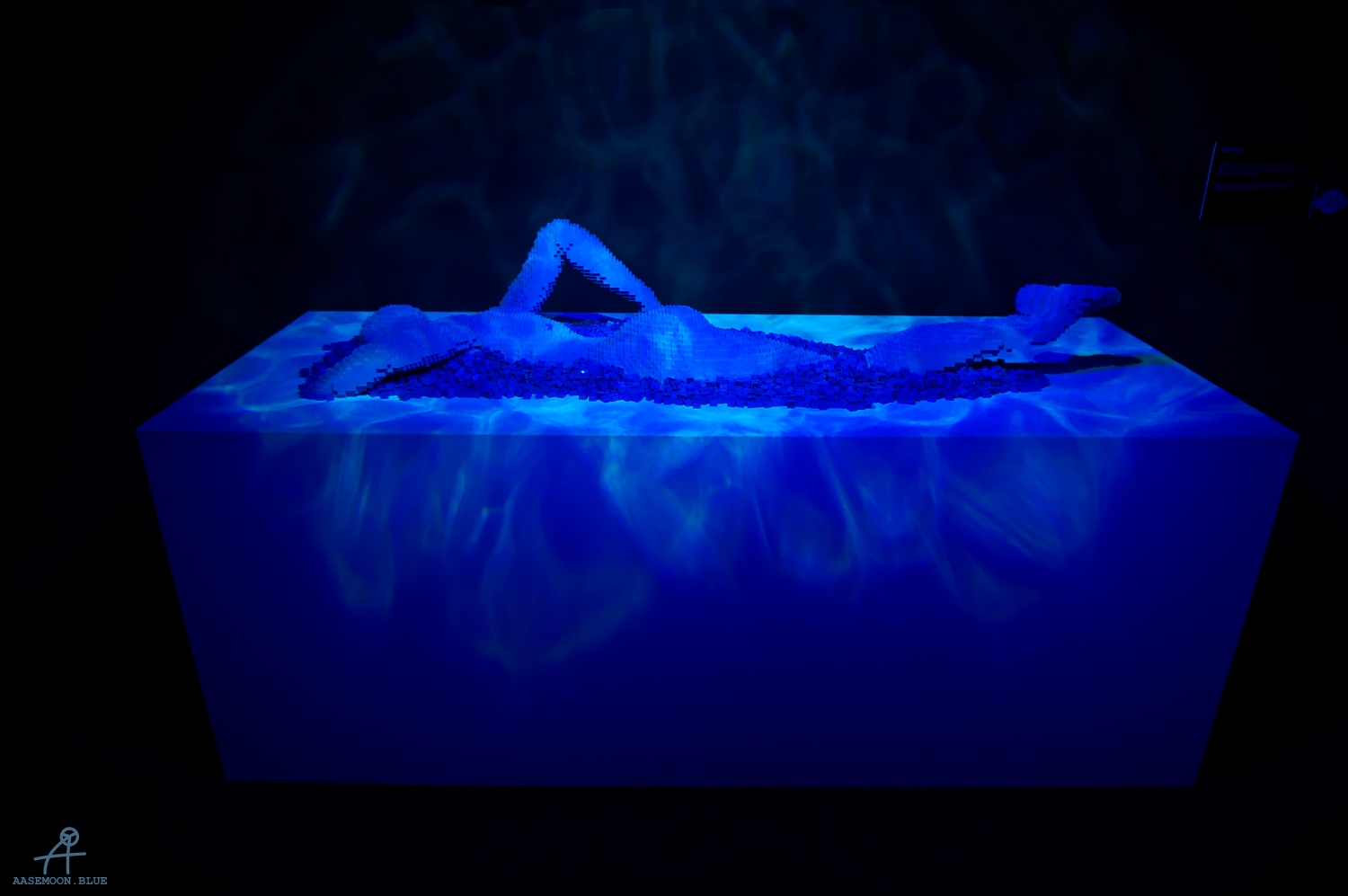 DSC09012