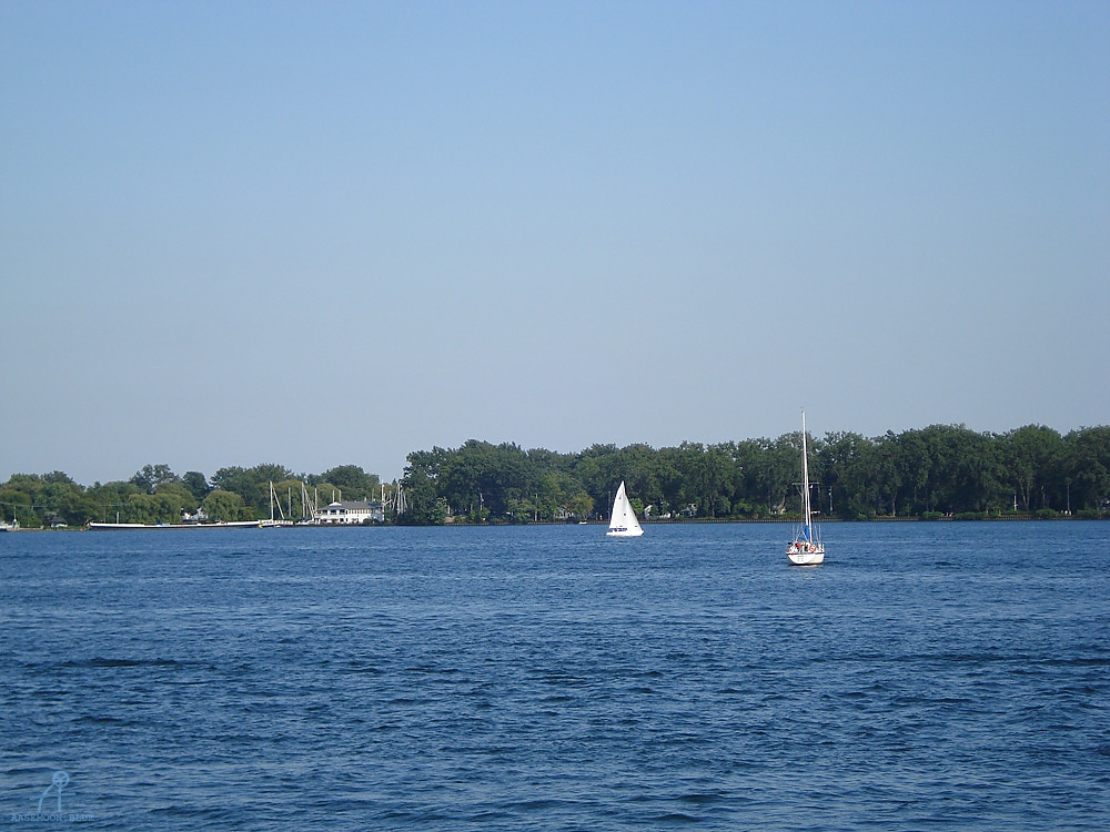 DSC02155