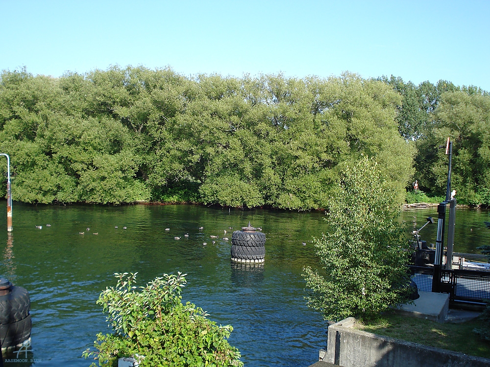 DSC02170