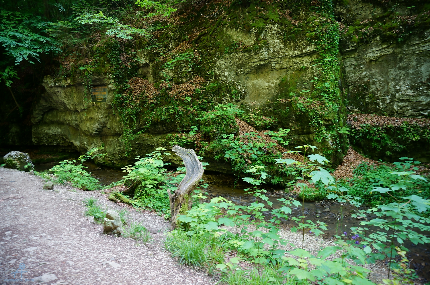 DSC09435