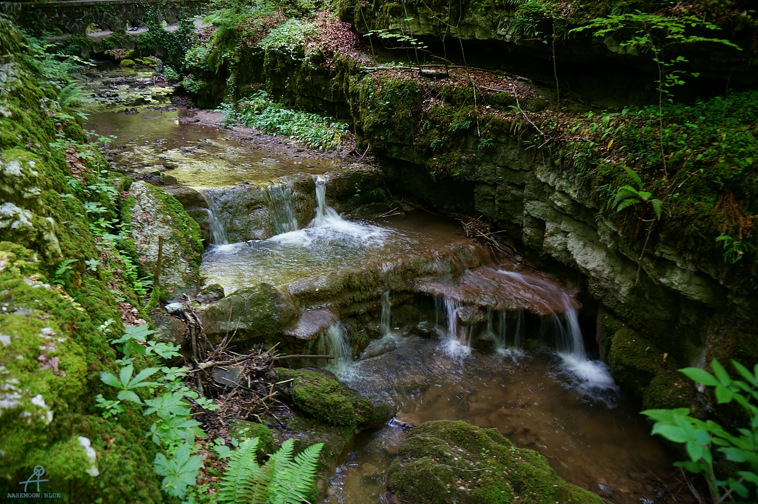 DSC09459