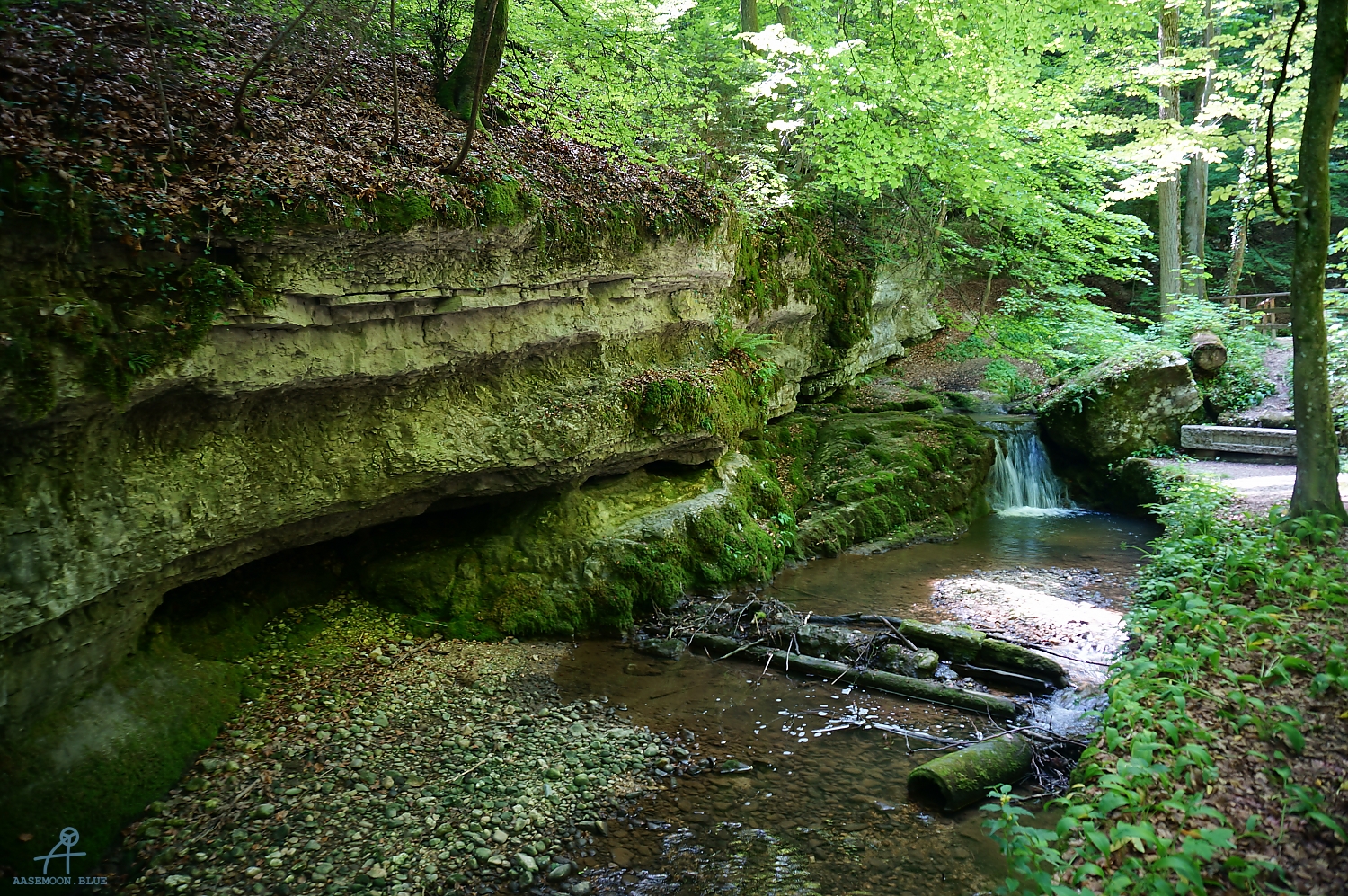 DSC09465