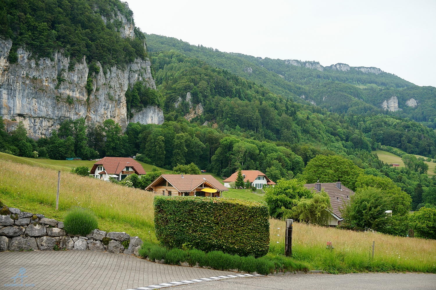 DSC09585