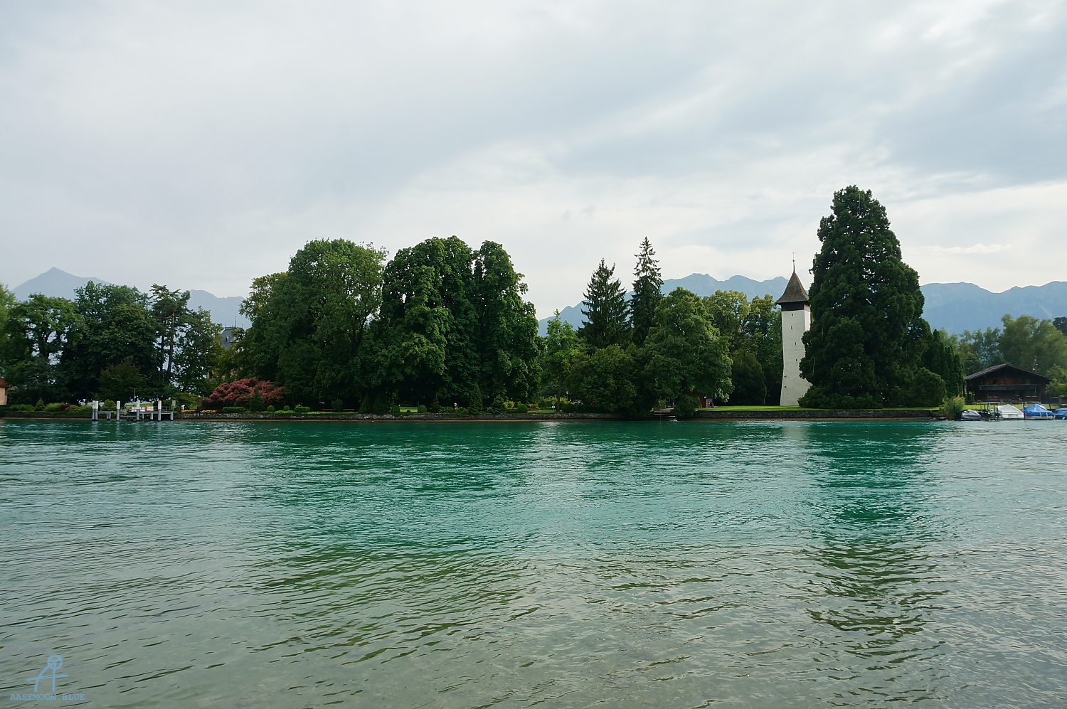 DSC00029