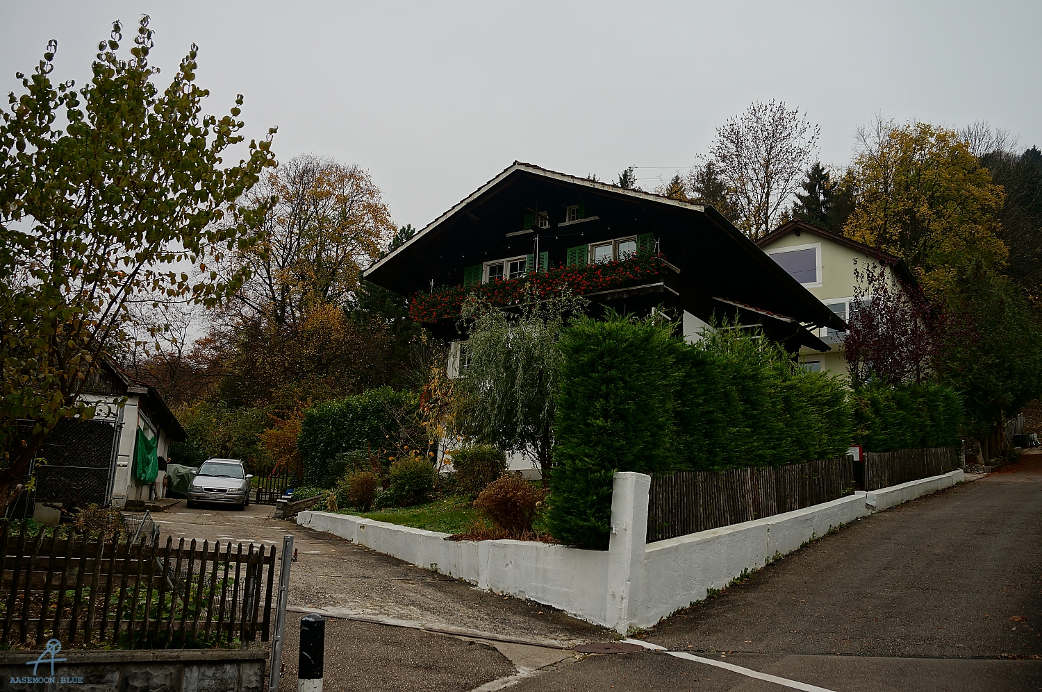 DSC02994