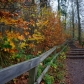 DSC03086