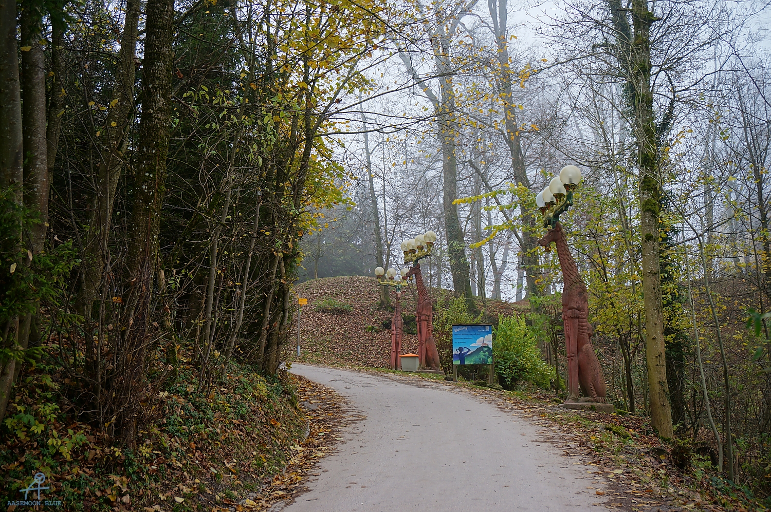 DSC03096