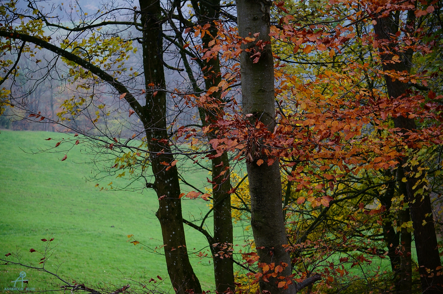 DSC03145