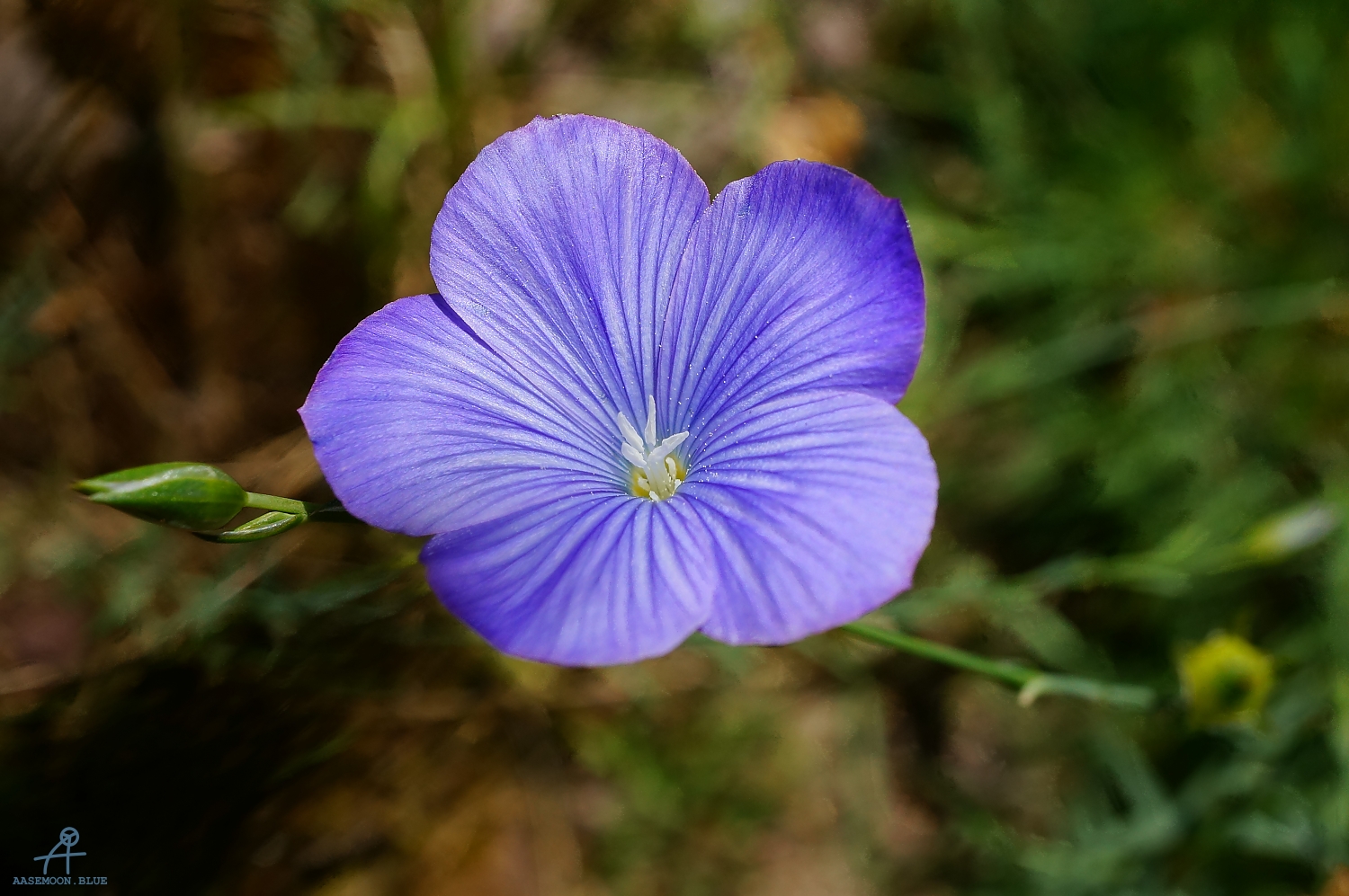 DSC06436