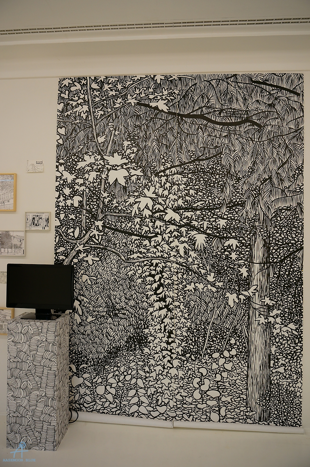 DSC01978