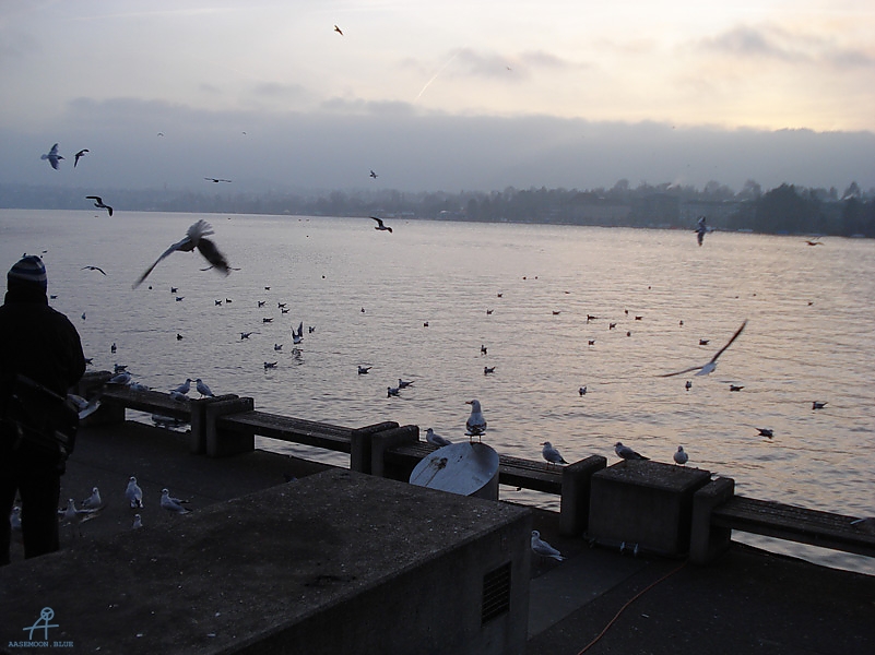 DSC00716